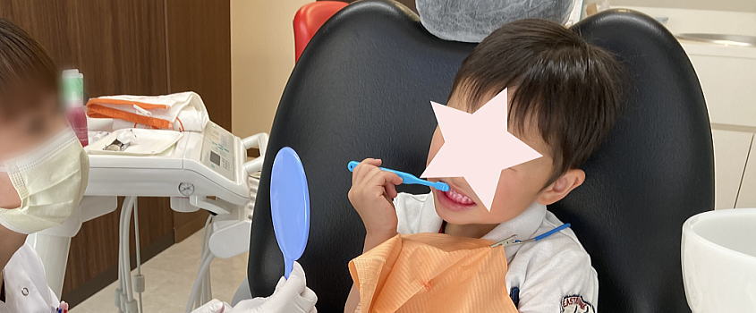 5歳息子に歯磨き指導してもらった
